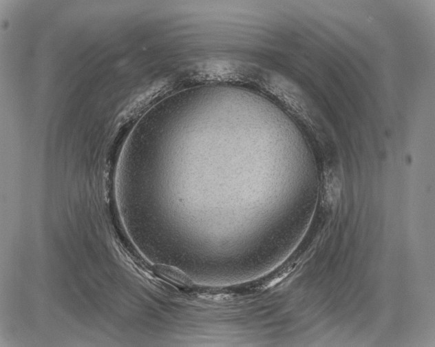 X0000085260450200703161408