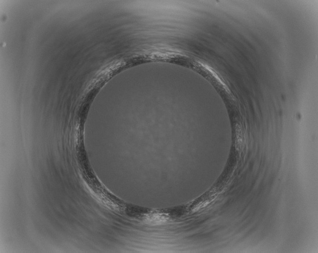 X0000085260451200703161408