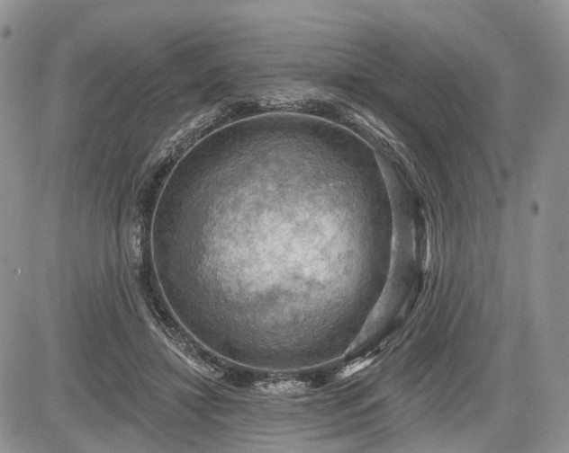 X0000085260452200703161408