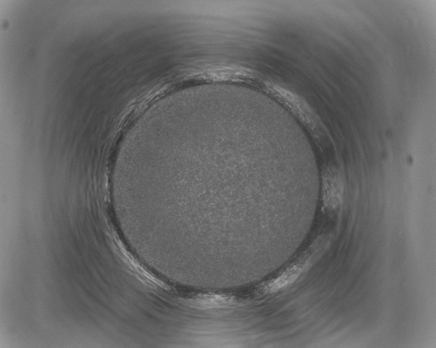 X0000085260453200703161408