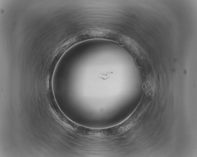 X0000085260454200703161408