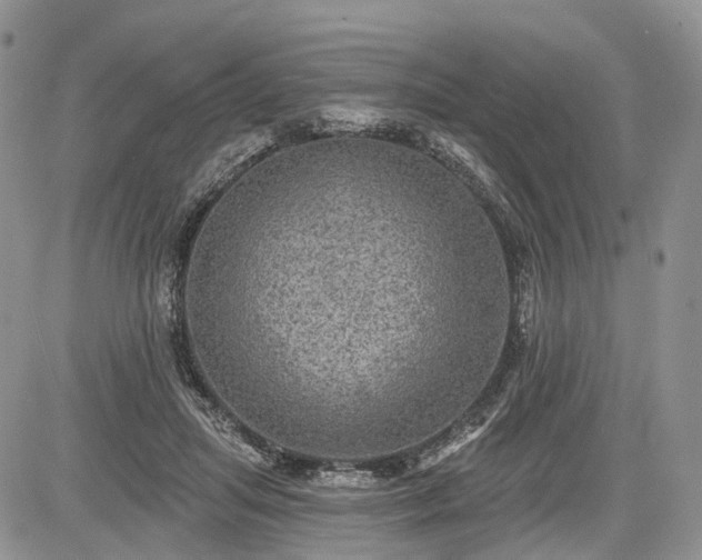 X0000085260455200703161408