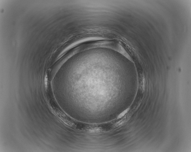 X0000085260456200703161408