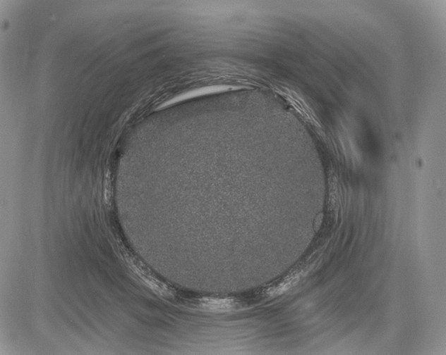 X0000085260457200703161408