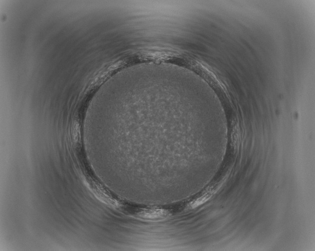 X0000085260459200703161408