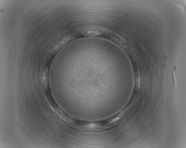 X0000085260460200703161408