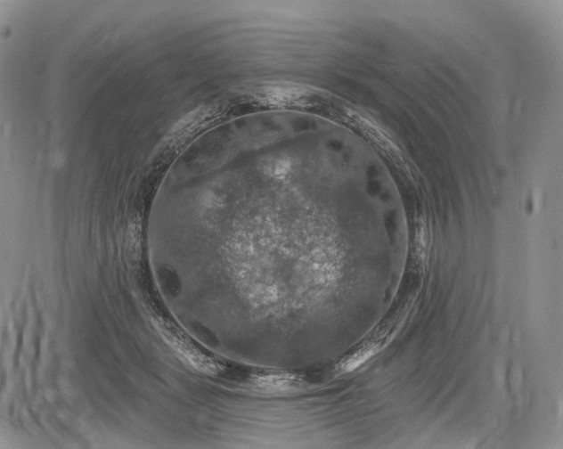 X0000085260461200703161408