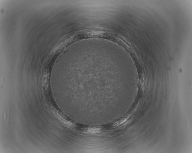 X0000085260462200703161408