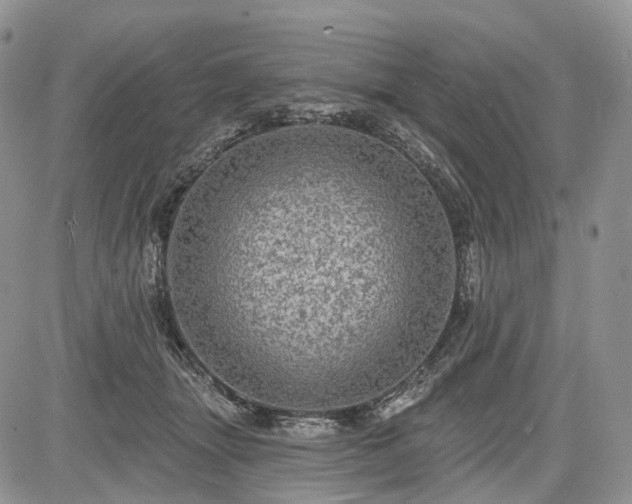 X0000085260463200703161408