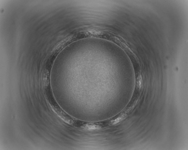 X0000085260464200703161408