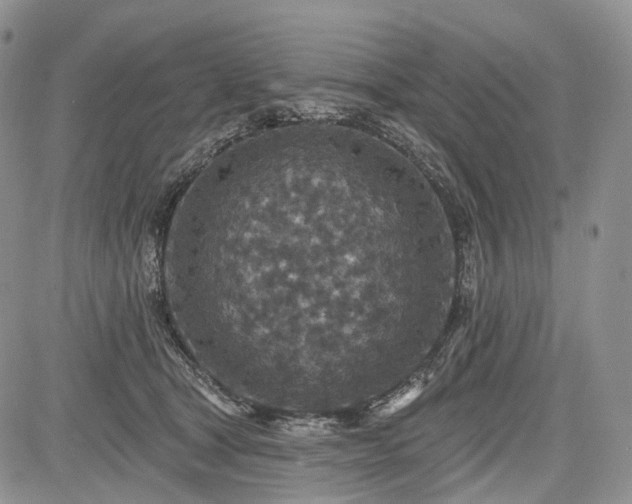 X0000085260465200703161408