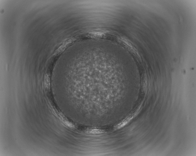 X0000085260467200703161408