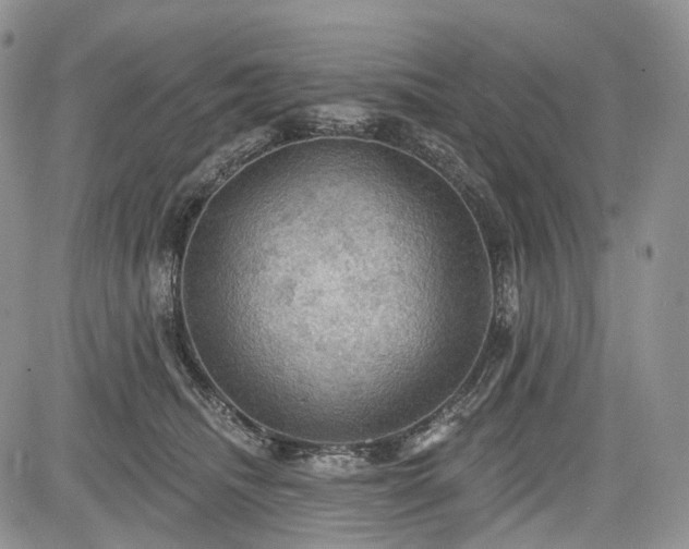 X0000085260468200703161408