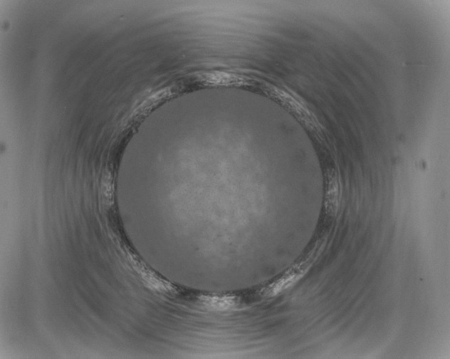 X0000085260469200703161408