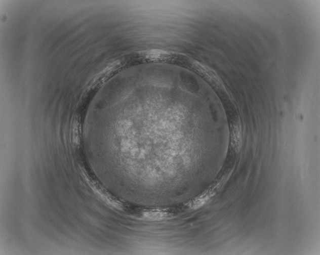 X0000085260470200703161408