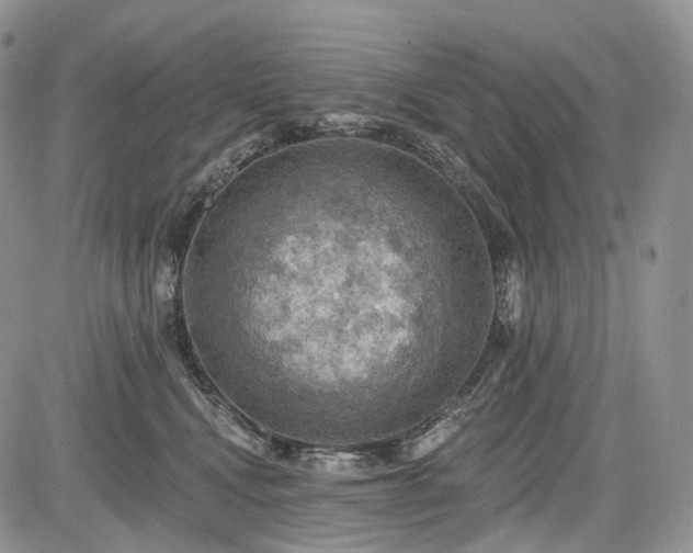 X0000085260472200703161409