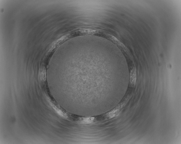 X0000085260474200703161409