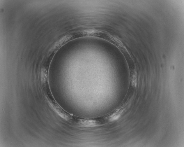 X0000085260476200703161409