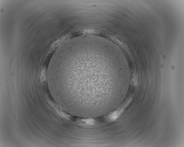 X0000085260478200703161409