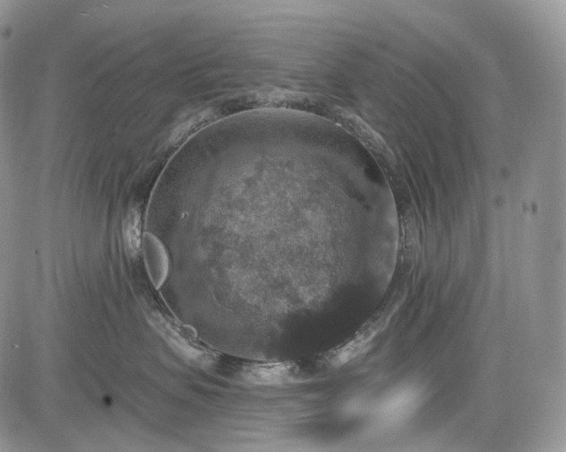 X0000085260479200703161409