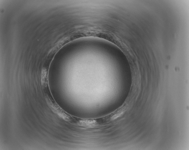 X0000085260480200703161409