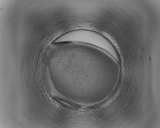 X0000085260481200703161408