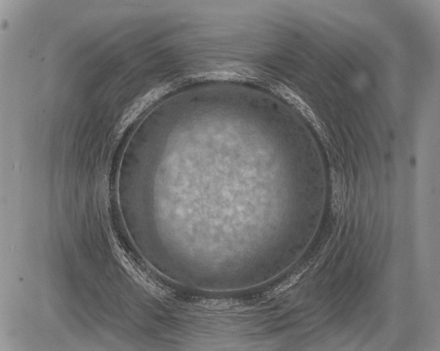 X0000085260482200703161408