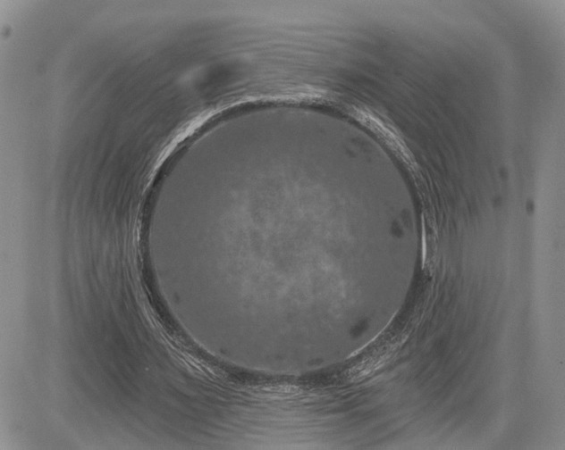 X0000085260483200703161408