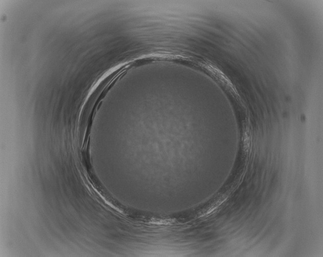 X0000085260484200703161408