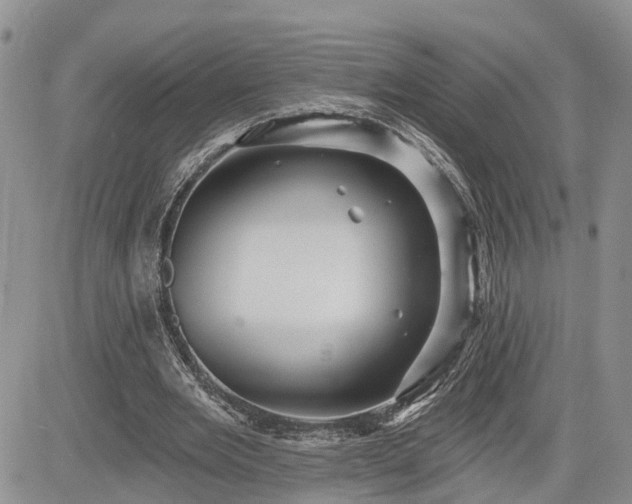 X0000085260485200703161408