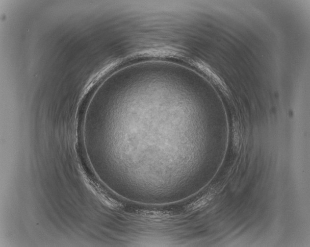 X0000085260486200703161408