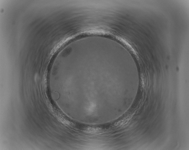 X0000085260487200703161408