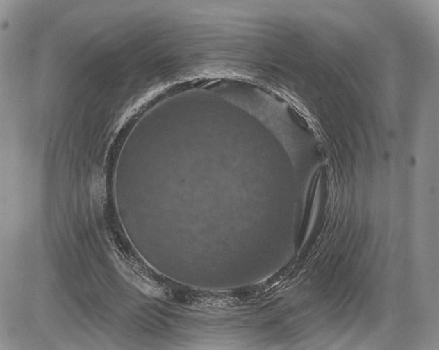 X0000085260488200703161408