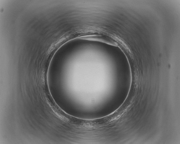 X0000085260489200703161408