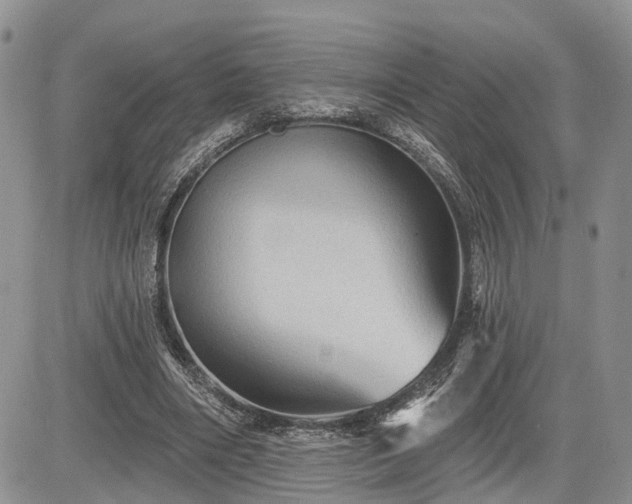 X0000085260490200703161408