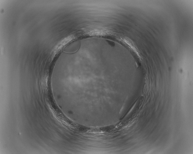 X0000085260491200703161408