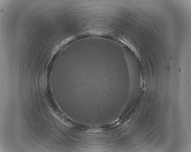 X0000085260492200703161408