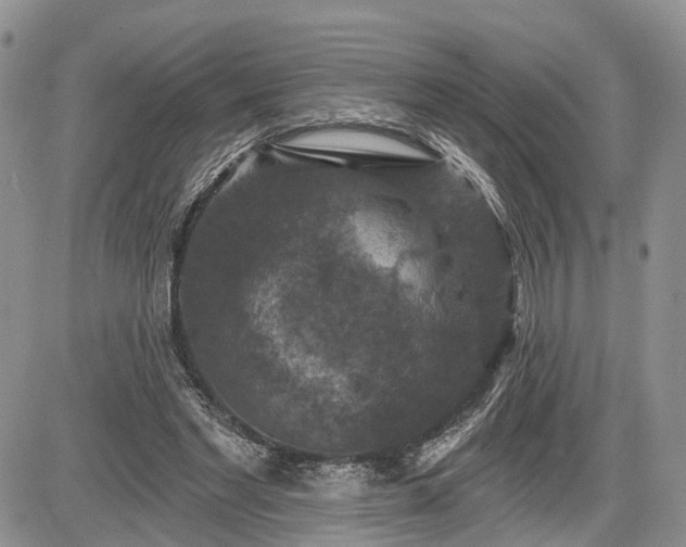 X0000085260493200703161408