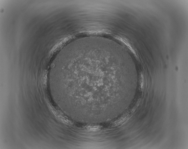 X0000085260495200703161408