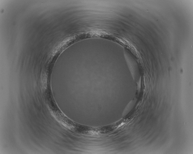 X0000085260496200703161408