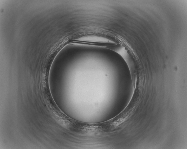 X0000085260497200703161408