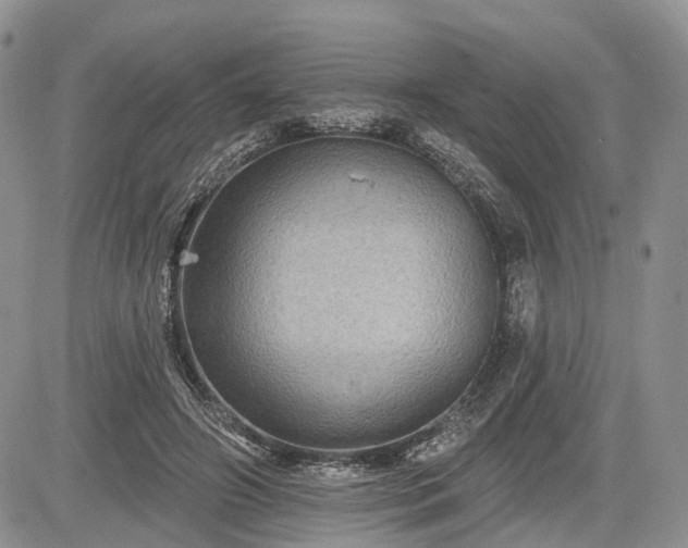 X0000085260498200703161408