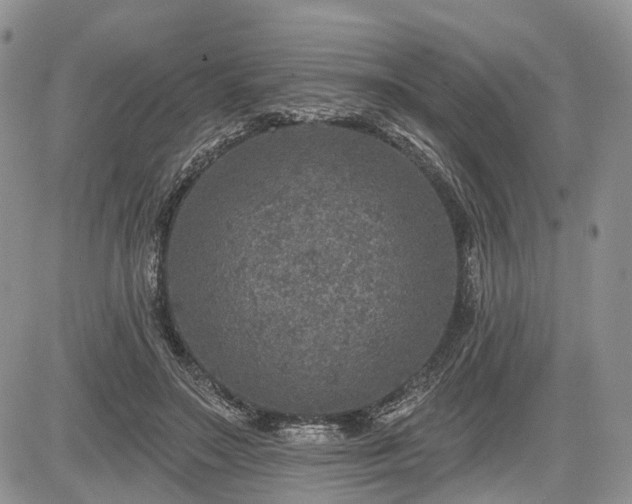 X0000085260499200703161408