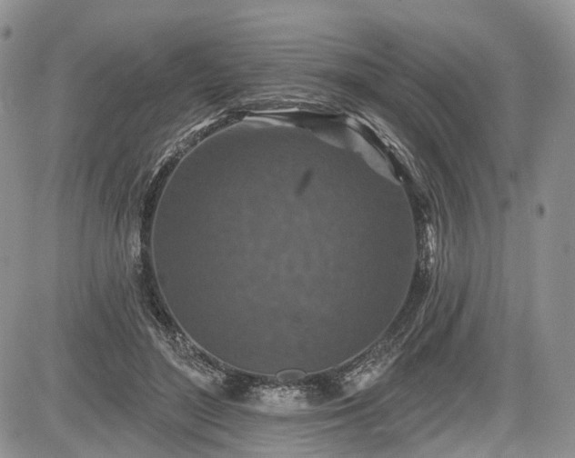 X0000085260500200703161408