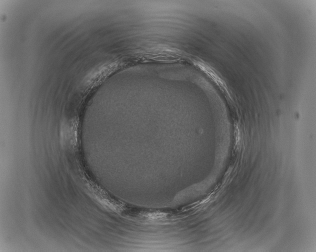 X0000085260501200703161408