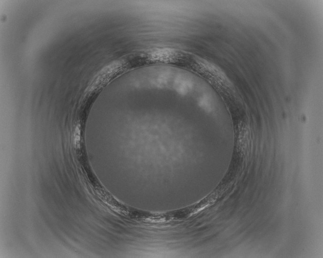 X0000085260502200703161407