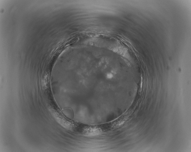 X0000085260503200703161407