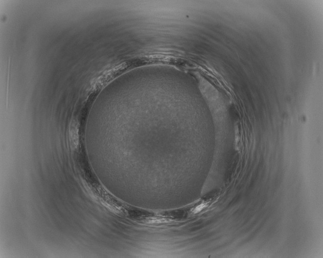 X0000085260504200703161407