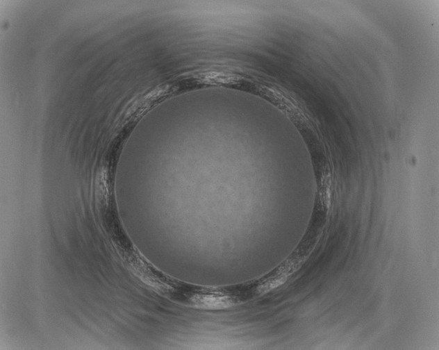 X0000085260506200703161407