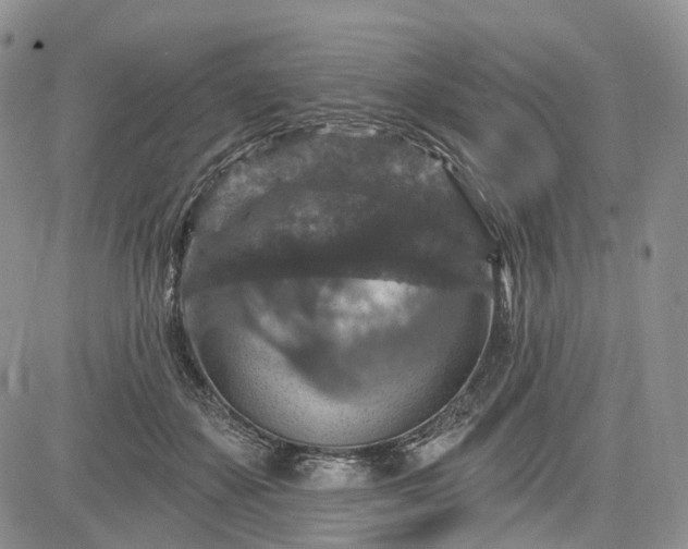 X0000085260507200703161407